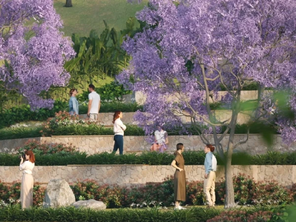 Spring Garden Gallery 6